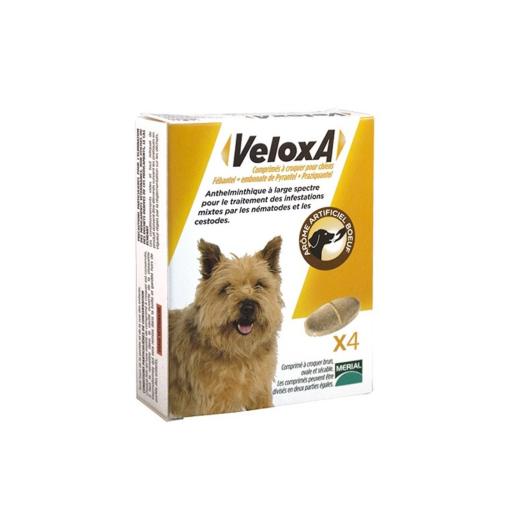 VELOXA 4 croquettes vermifuge pour chien