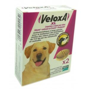 VELOXA XL pour chien 2 comprimés