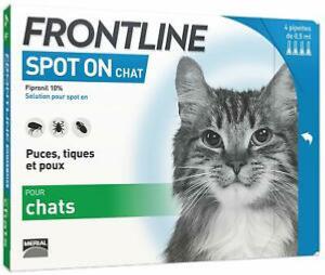FRONTLINE Spot on chat 4 pipettes